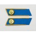 Петлицы повседневные шинельные ГЕНЕРАЛОВ и МАРШАЛОВ АВИАЦИИ , обр. 1943 г.
